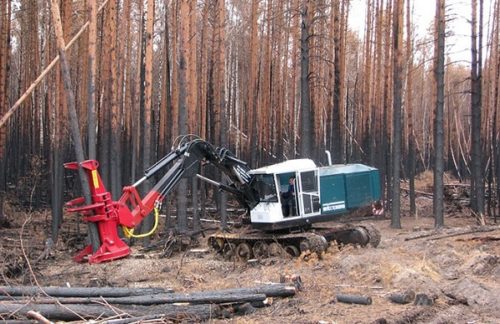 Валочно-пакетирующая машина «ЛП-19» с головкой с накопителем спиленных деревьев в захвате