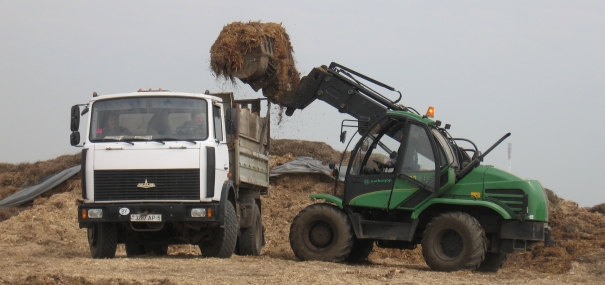 Телескопическая стрела погрузчика Амкодор 527