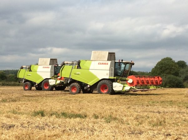 claas обеспечивает до 30% рентабельности