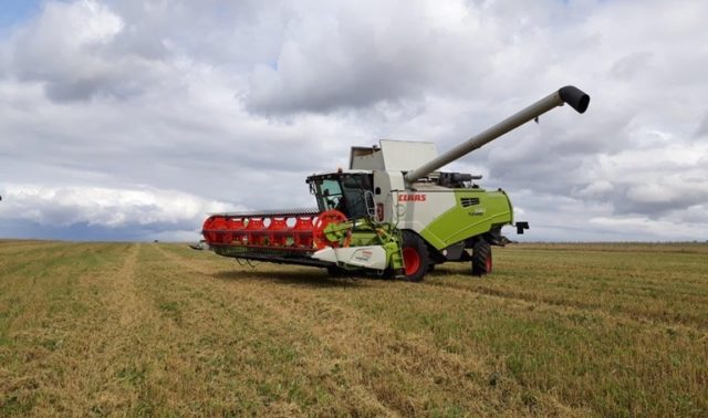 CLAAS: универсальность и эффективность жатки CONVIO FLEX 770