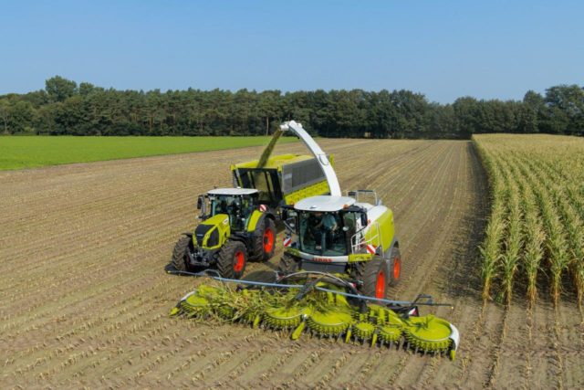 CLAAS: ПРАКТИЧЕСКИЕ РЕКОМЕНДАЦИИ ПО ЗАГОТОВКЕ КУКУРУЗНОГО СИЛОСА SHREDLAGE®