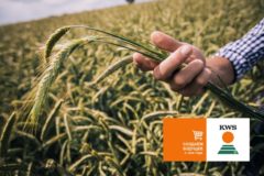 Компания КВС РУС в конце мая 2021 года запускает свой собственный B2B онлайн-магазин семян для сельхозпроизводителей в России