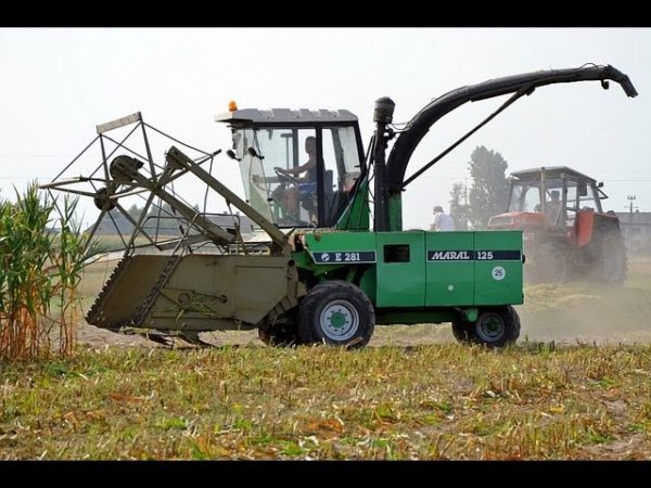 Из отзывов об эксплуатации кормоуборочных комбайнов Е-281 «Марал-125»